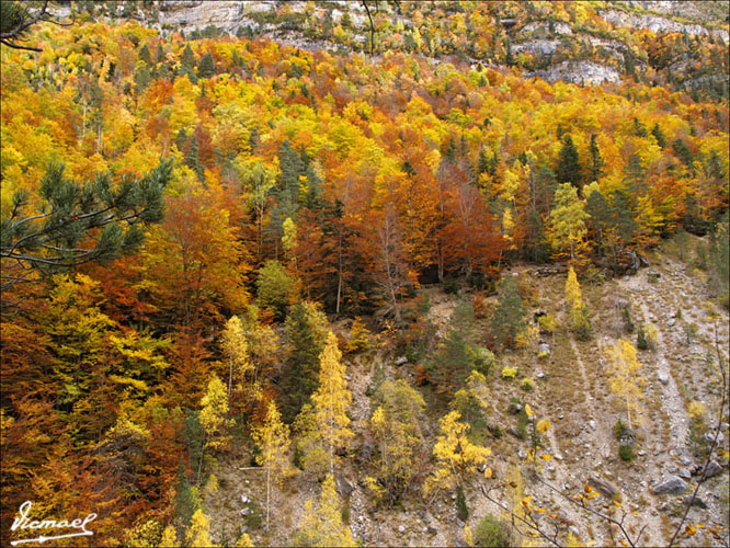 Foto de Torla (Huesca), España