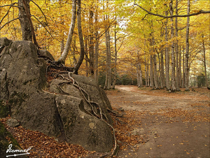 Foto de Torla (Huesca), España