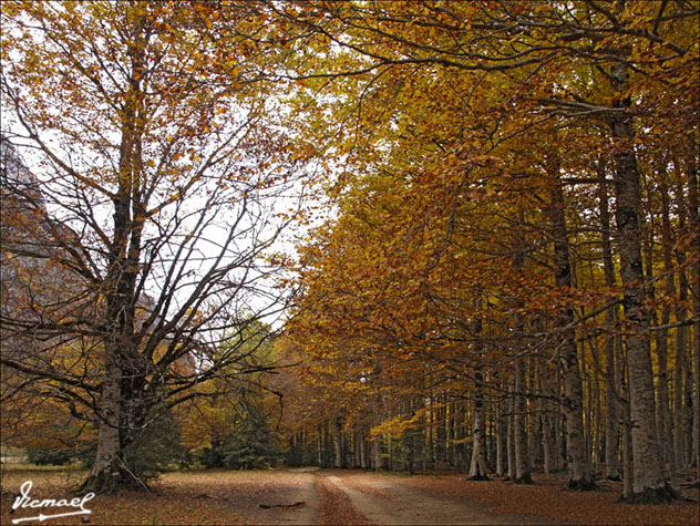 Foto de Torla (Huesca), España