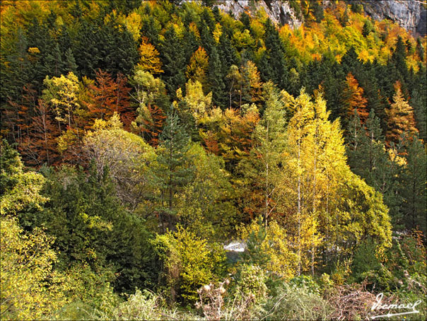 Foto de Torla (Huesca), España
