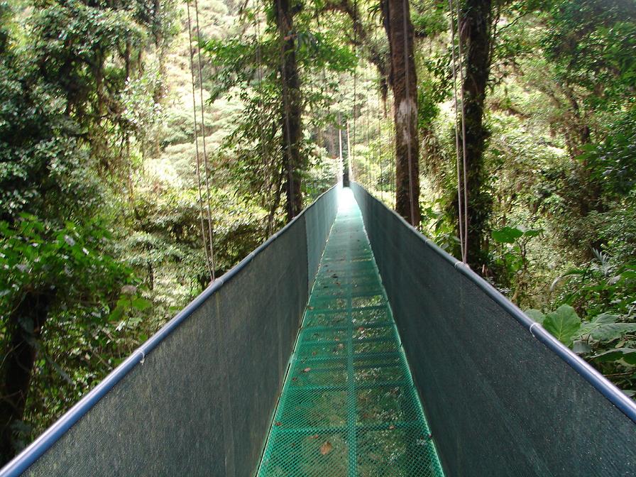 Foto de Monte Verde, Costa Rica