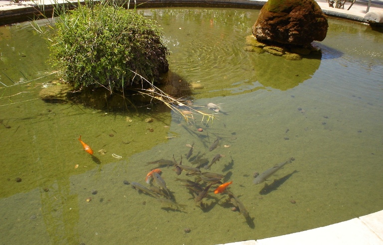 Foto de Santes Creus (Tarragona), España