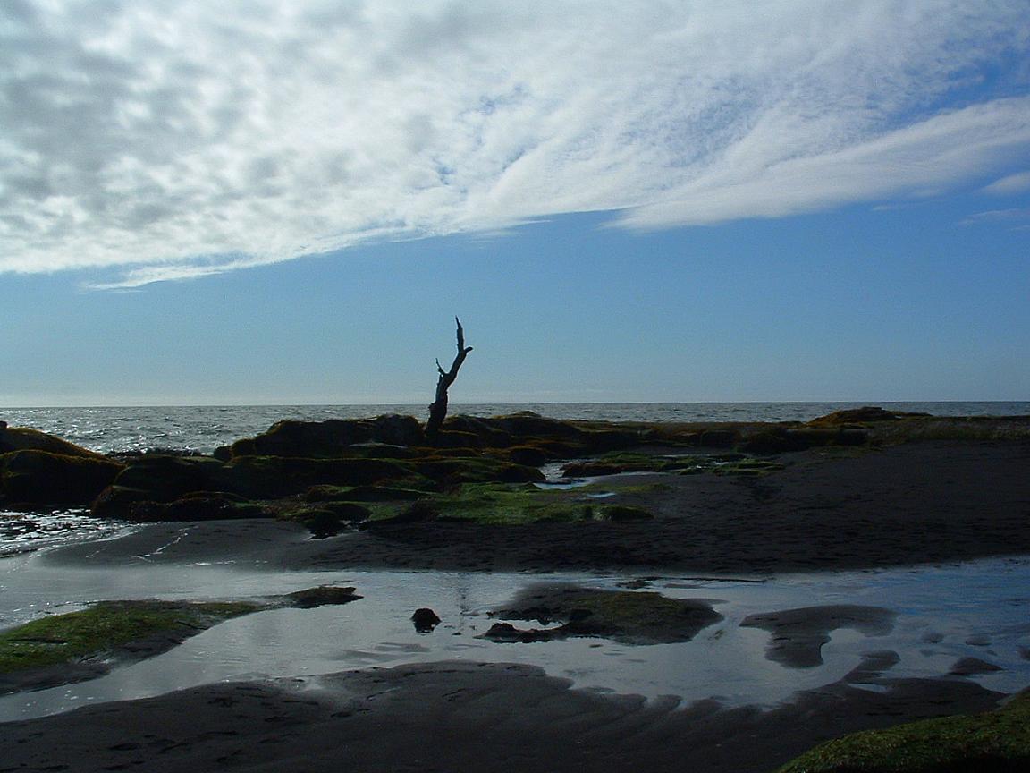 Foto de Coronel, Chile