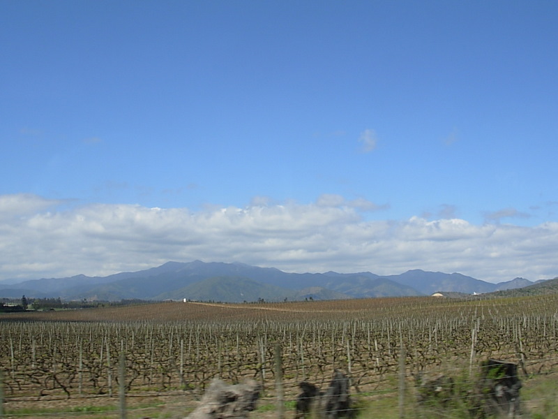 Foto de Algarrobo, Chile