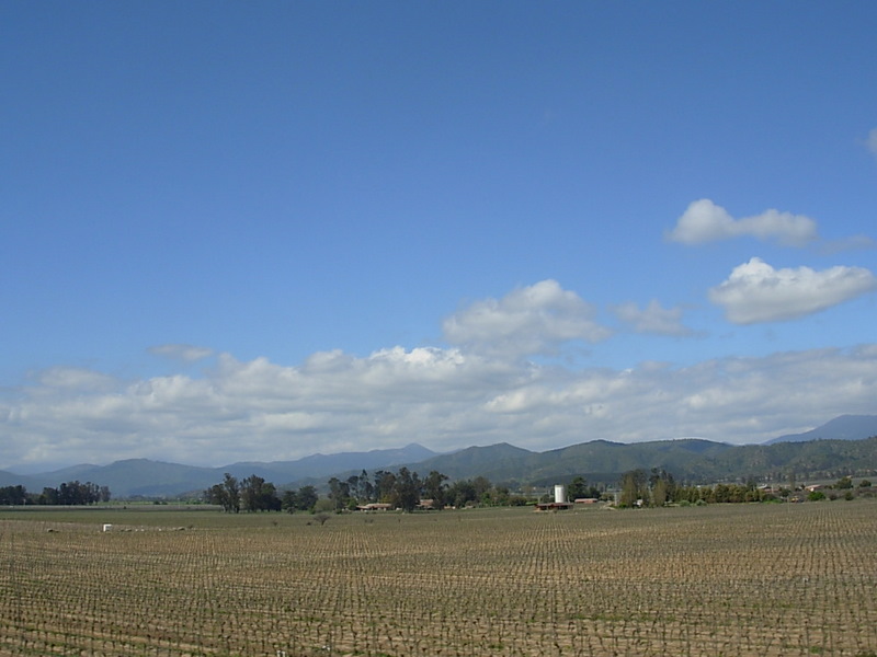 Foto de Casa Blanca, Chile