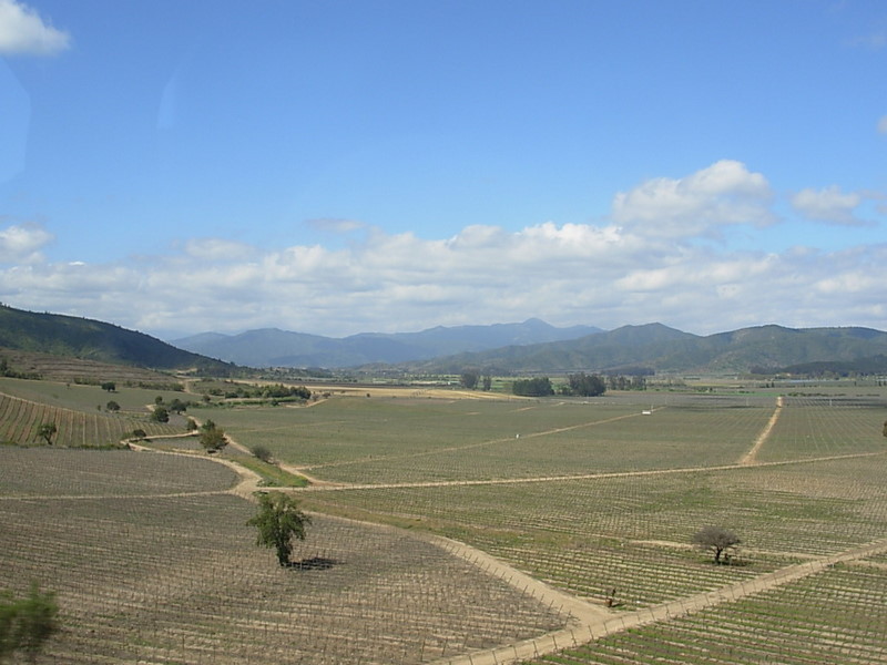 Foto de Casa Blanca, Chile