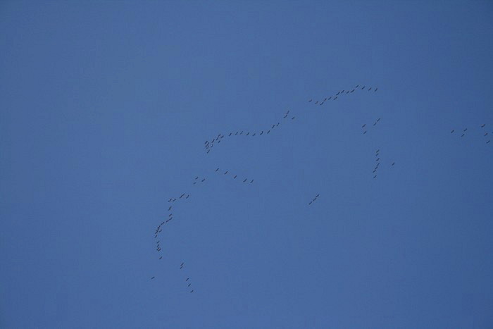 Foto de Ólvega (Soria), España