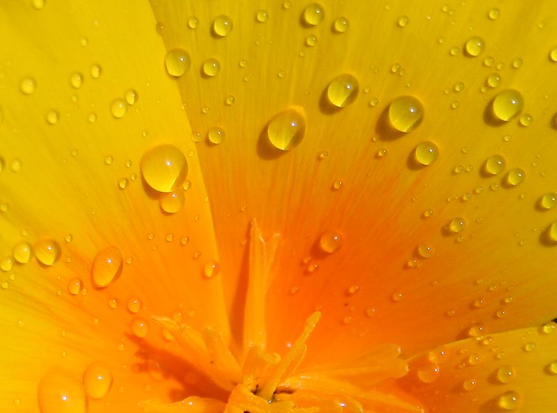 Foto de Respenda de la Peña (Palencia), España