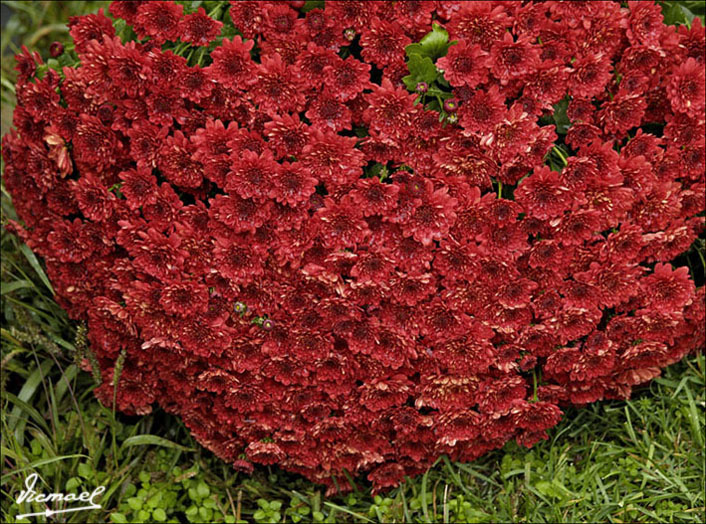 Foto de Orus (Huesca), España