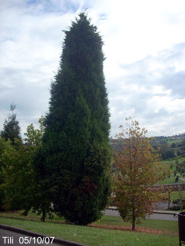 Foto de Oviedo (Asturias), España