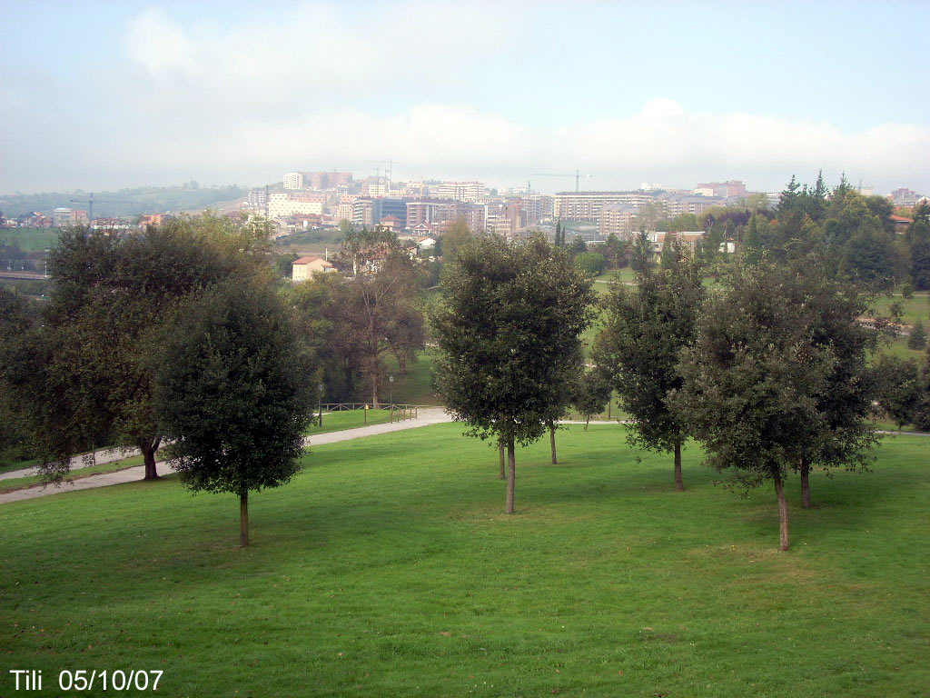 Foto de Oviedo (Asturias), España