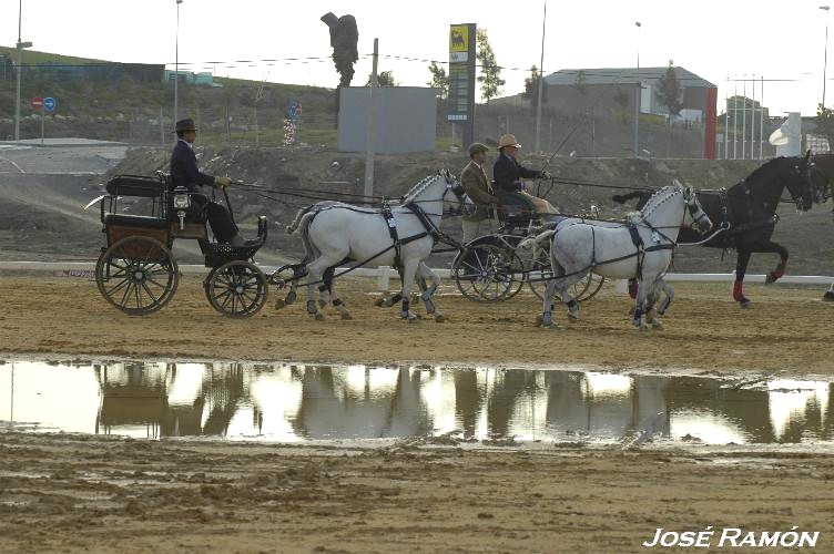 Foto de Trebujena (Cádiz), España