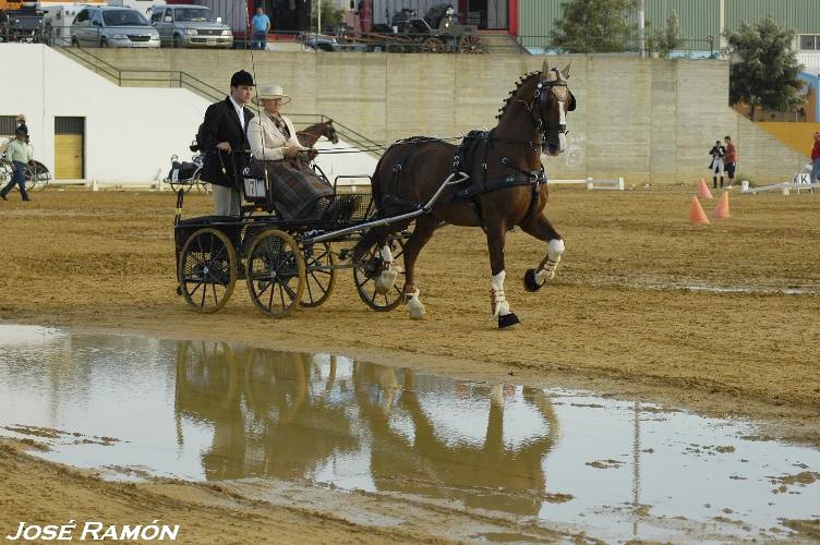 Foto de Trebujena (Cádiz), España