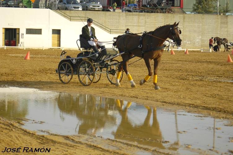 Foto de Trebujena (Cádiz), España
