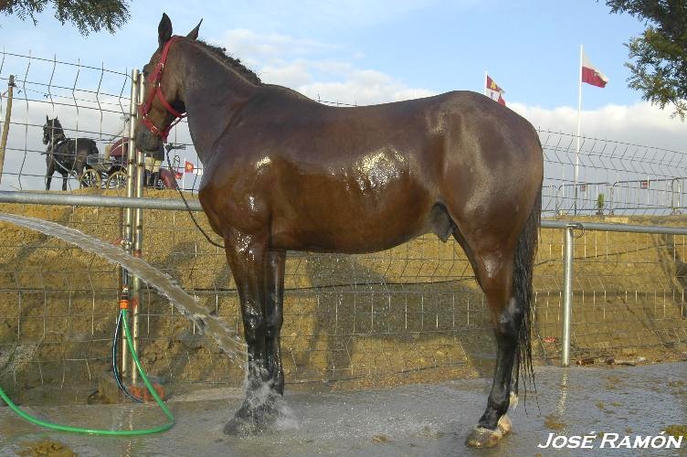 Foto de Trebujena (Cádiz), España