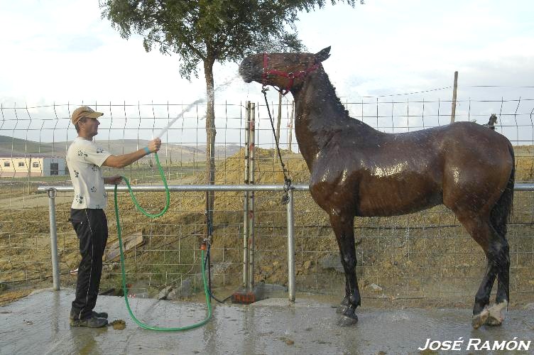 Foto de Trebujena (Cádiz), España