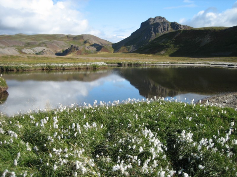 Foto de Fiordos de Noroeste, Islandia