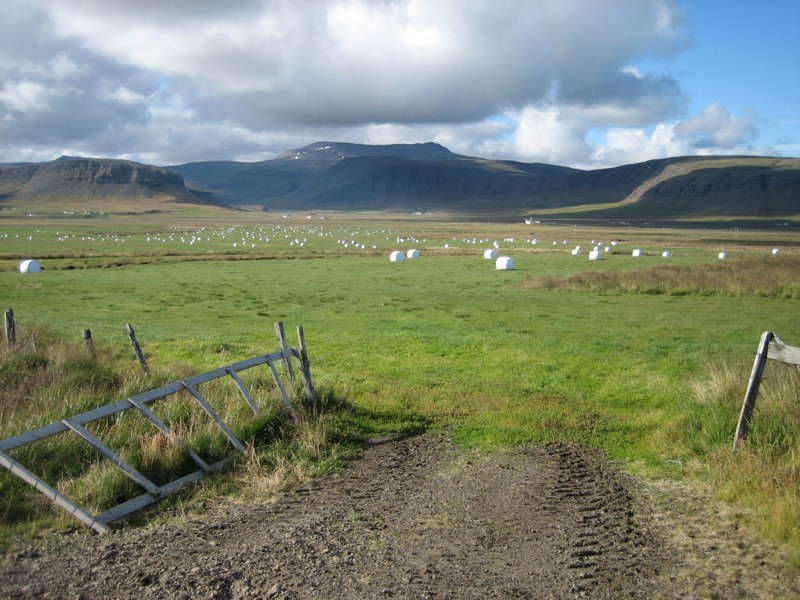 Foto de Fiordos de Noroeste, Islandia