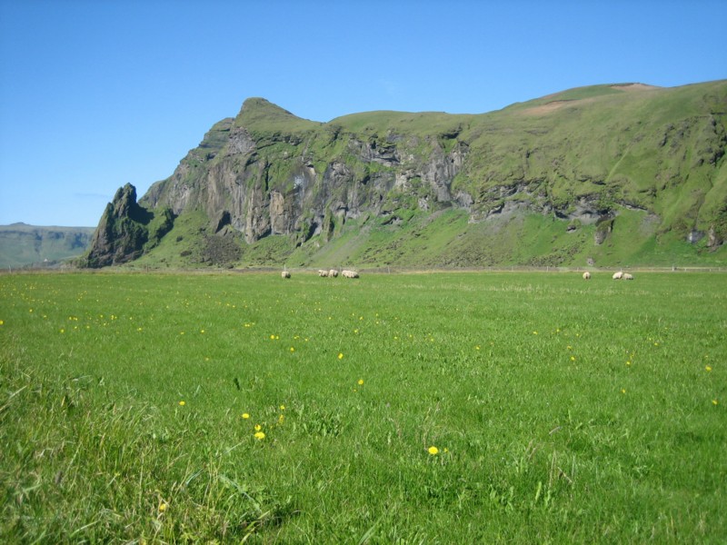 Foto de Vík, Islandia
