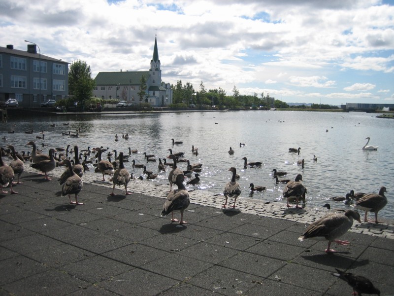 Foto de Reykjavik, Islandia