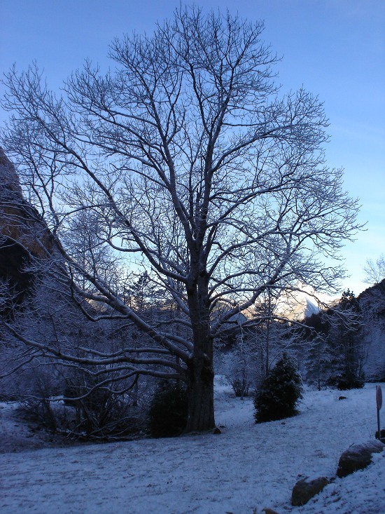 Foto de Ordesa (Huesca), España