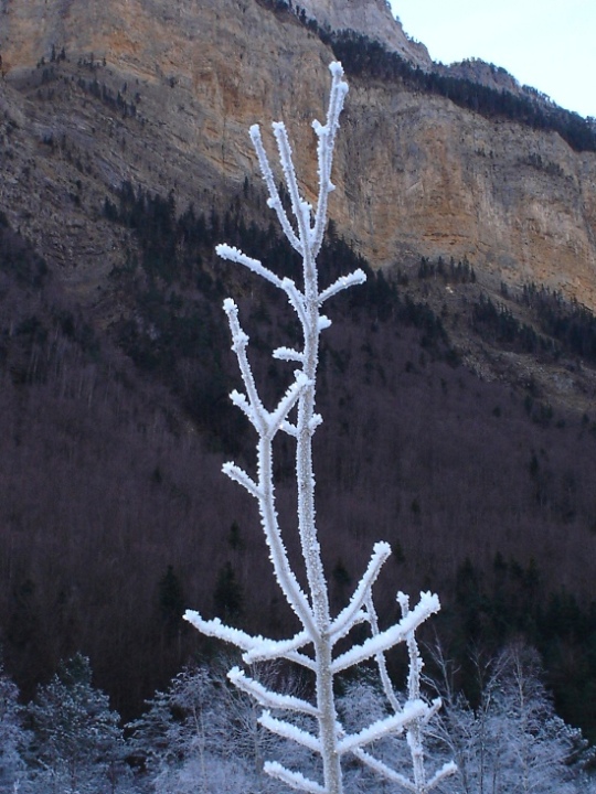 Foto de Ordesa (Huesca), España