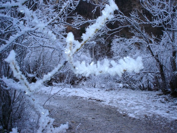 Foto de Ordesa (Huesca), España