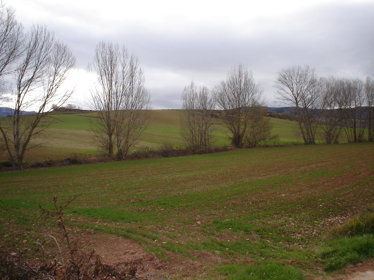 Foto de Logroño (La Rioja), España