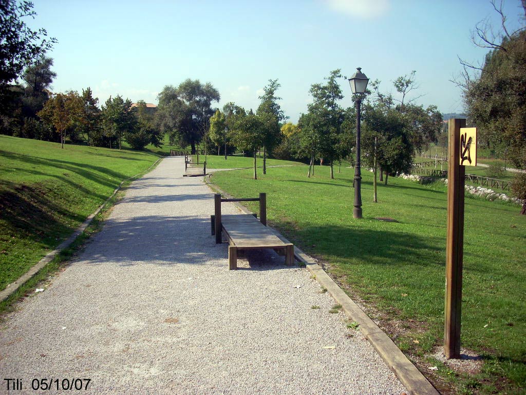 Foto de Oviedo (Asturias), España