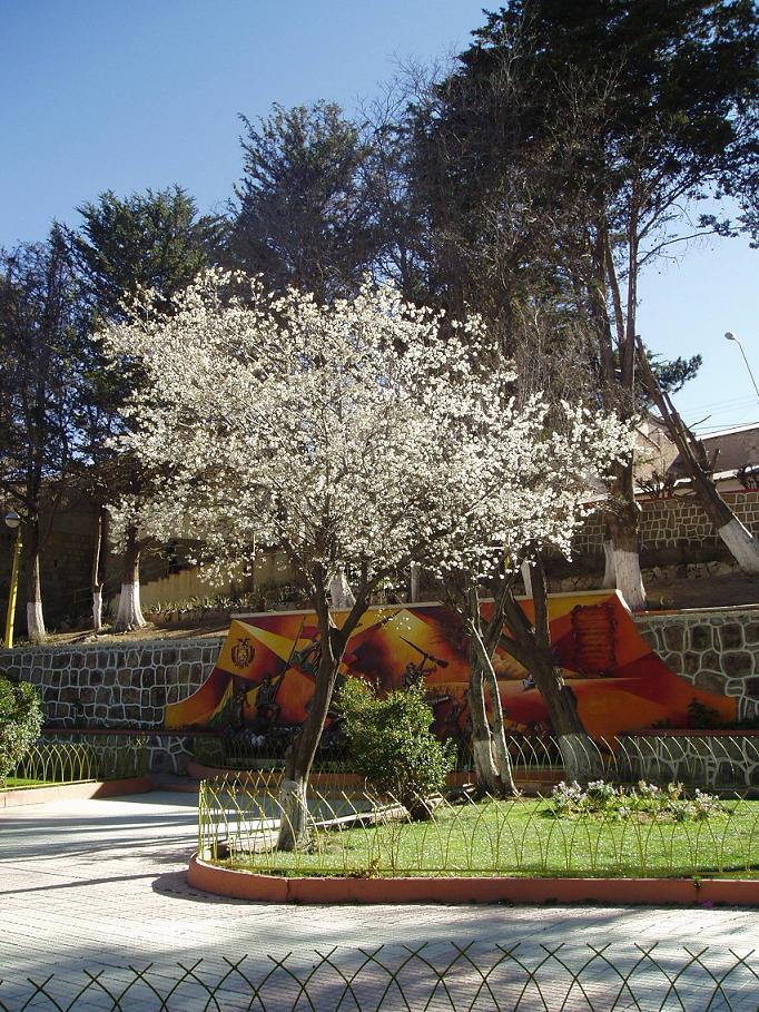 Foto de Oruro, Bolivia
