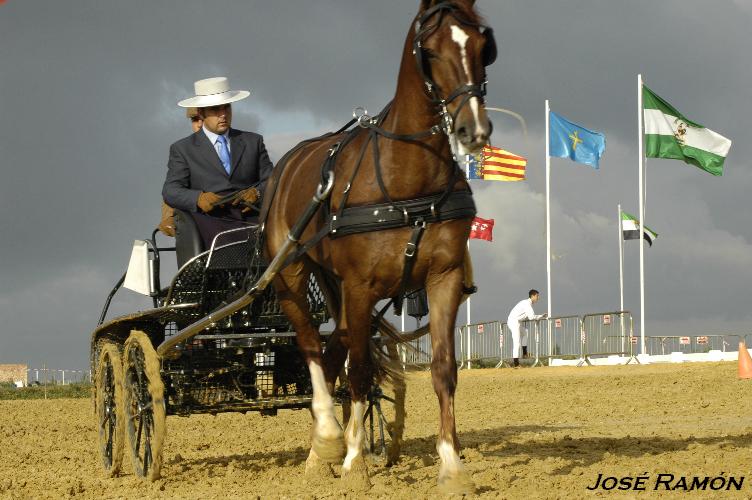 Foto de Trebujena (Cádiz), España