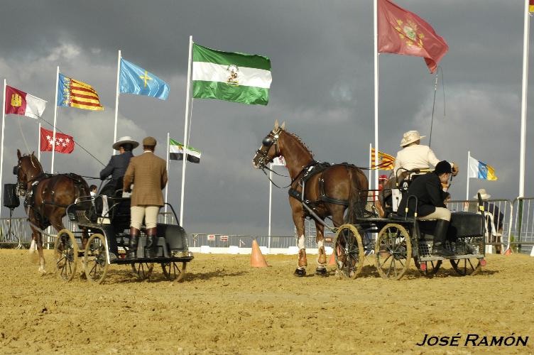Foto de Trebujena (Cádiz), España