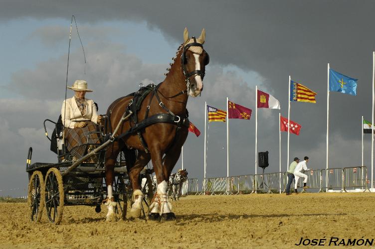 Foto de Trebujena (Cádiz), España
