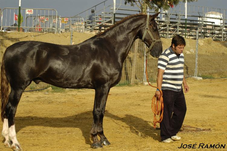 Foto de Trebujena (Cádiz), España