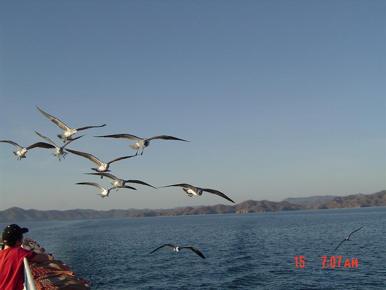 Foto de Golfo de Nicoya, Costa Rica