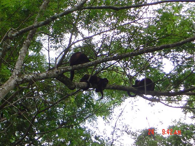 Foto de Jicaral, Costa Rica