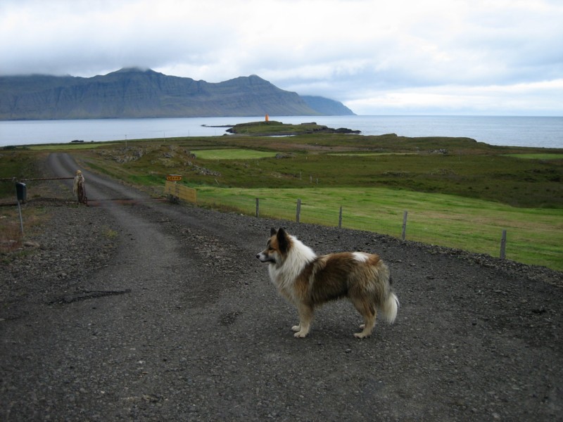 Foto de Islandia Este, Islandia