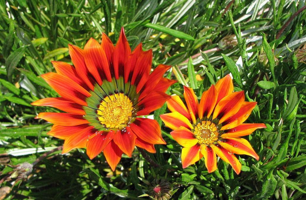 Foto de Santiago, Chile