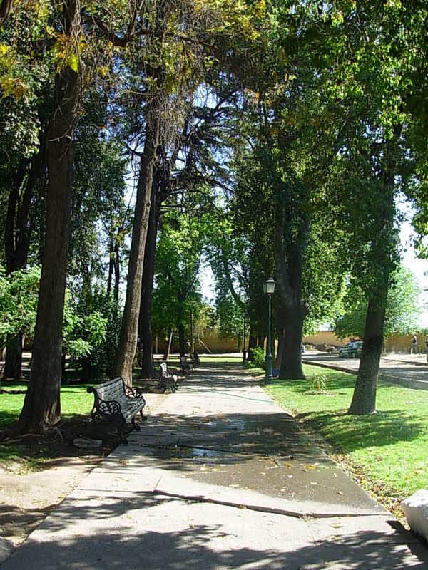 Foto de Curimon, Chile