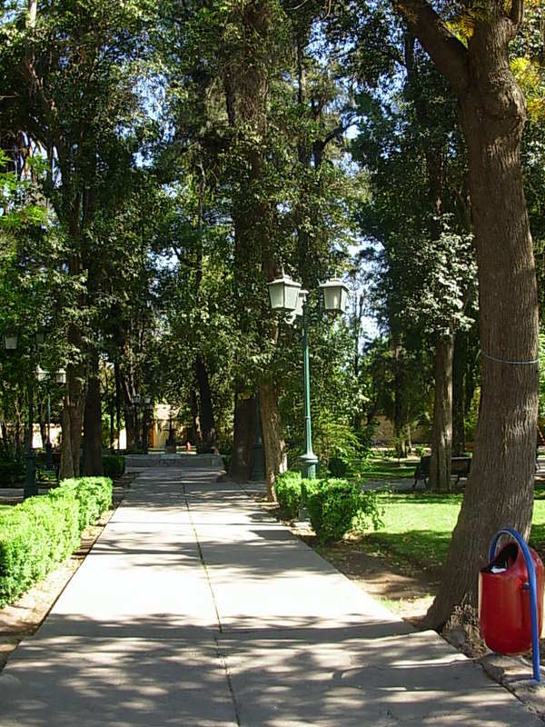 Foto de Curimon, Chile