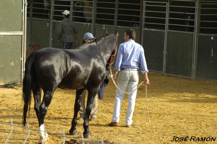 Foto de Trebujena (Cádiz), España