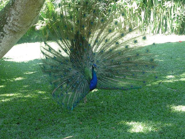 Foto de La Garita - Alajuela, Costa Rica