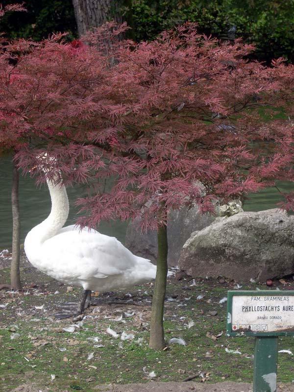 Foto de Oviedo (Asturias), España