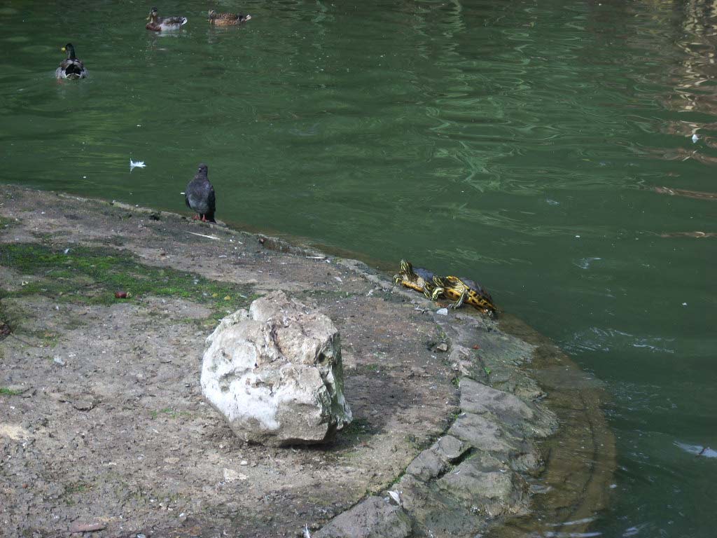 Foto de Oviedo (Asturias), España