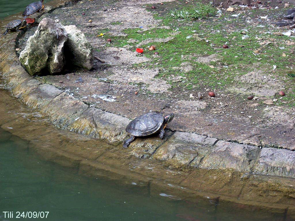 Foto de Oviedo (Asturias), España