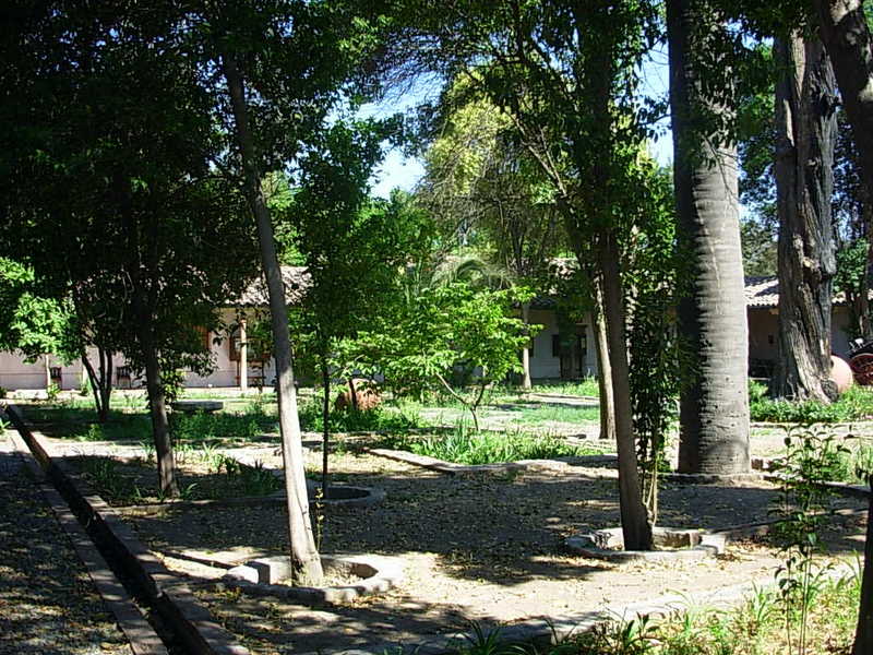 Foto de Curimon, Chile