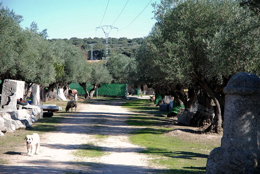 Foto de El Escorial (Madrid), España