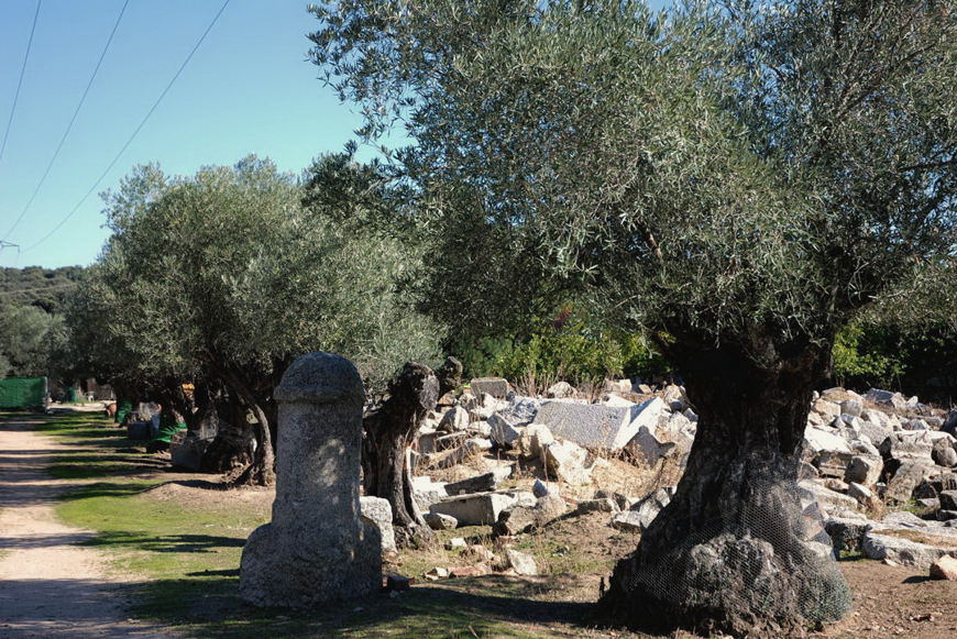 Foto de El Escorial (Madrid), España