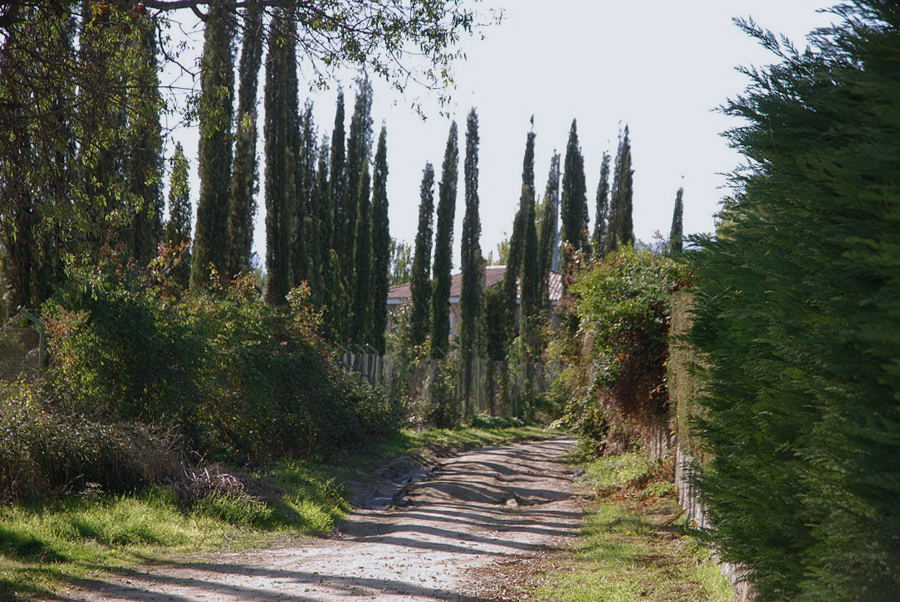 Foto de El Escorial (Madrid), España