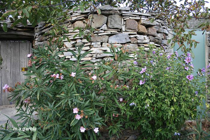Foto de Castillejo de San Pedro (Soria), España